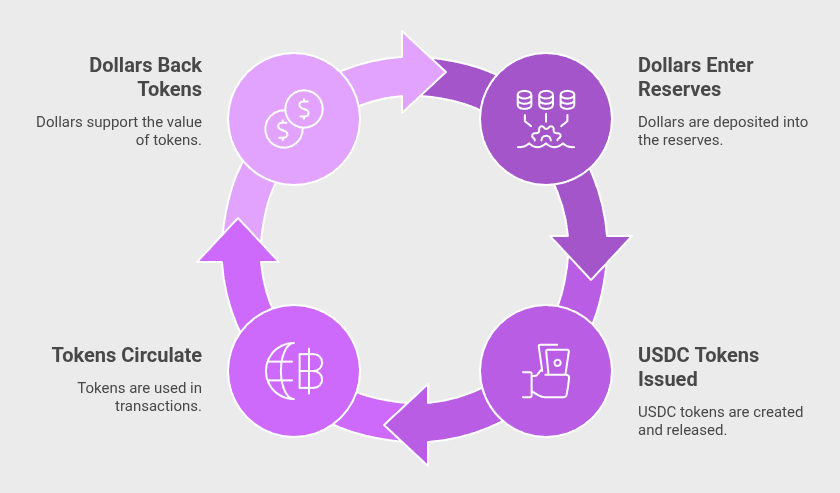 USDC Remittance Strategy